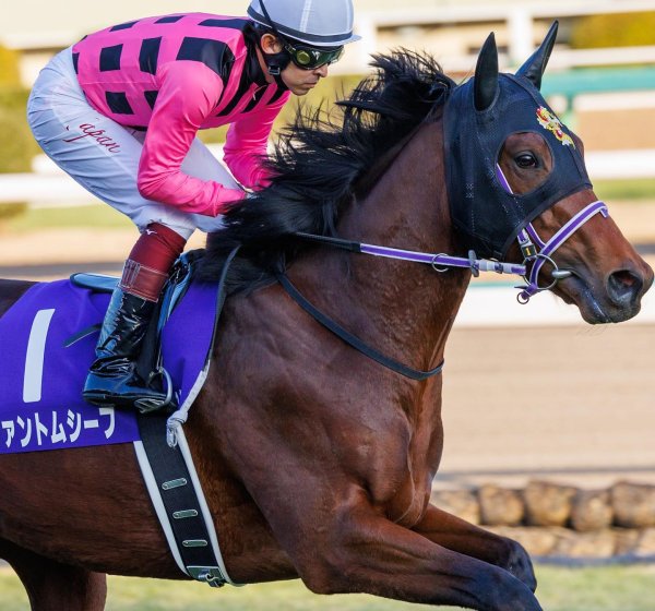 2022.12.28中山11R #ホープフルステークス #ファントムシーフ #福永祐一 #競馬写真 #競馬写真を撮...