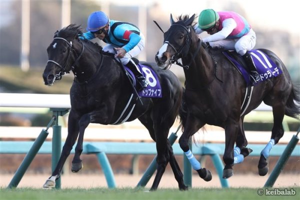 【ホープフルS】昨年14番人気で勝利！ドゥラエレーデも該当した「好走ポイント」（競馬ラボ） - Yahoo!ニュース