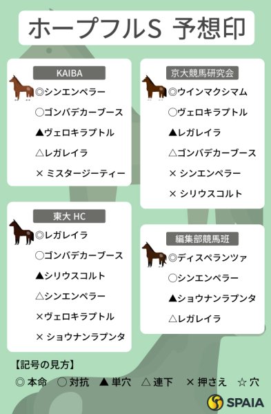 【ホープフルS予想印まとめ】本命はバラバラ　穴馬ウインマクシマムとディスペランツァの名も挙がる（SPAIA AI競馬） - Yahoo!ニュース