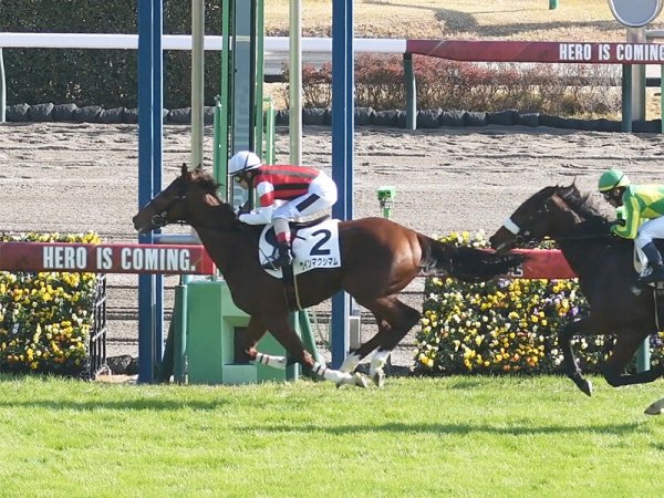 ホープフルＳは再び大荒れ!?　穴党記者のオススメは２勝馬の陰に隠れた人気薄の評判馬２頭（webスポルティーバ） - Yahoo!ニュース