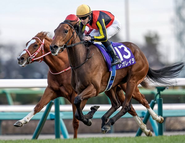 粗品はホープフルSで「54万負けたぁ…」「億万長者になる予定やってんけどな」と肩落とす（netkeiba.com） - Yahoo!ニュース