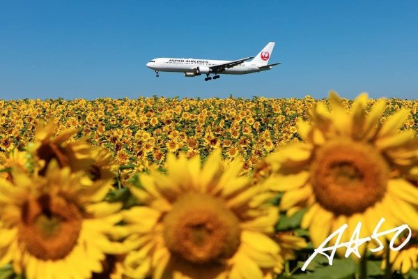 *
先日の11泊12日の北海道遠征におきましては、大洗港〜苫小牧港〜新千歳空港〜旭川空港〜女満別空港〜帯広空港〜苫...