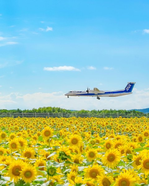 .

.
🌻🌻🌻✈️🌻🌻🌻
.

.

Location: Hokkaido Japan * *

 *

#ig...