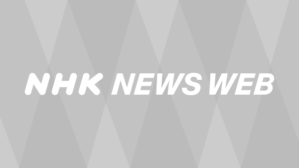 サッカー元日本代表 槙野智章さん引退試合 W杯豪華メンバーも | NHK