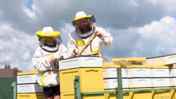 Социальный контракт стал доступнее: введены новые условия для предоставления помощи