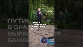 🍌 Пропагандист Павел Зарубин восхитился, что в резиденции Путина выращивают бананы