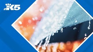 Breaking down the 2025 Farmer's Almanac fall forecast