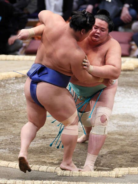 琴桜の寄り切り|au Webポータル