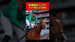【速報】欧州最強馬カランダガン、本当にジャパンカップに来そうwww#shorts